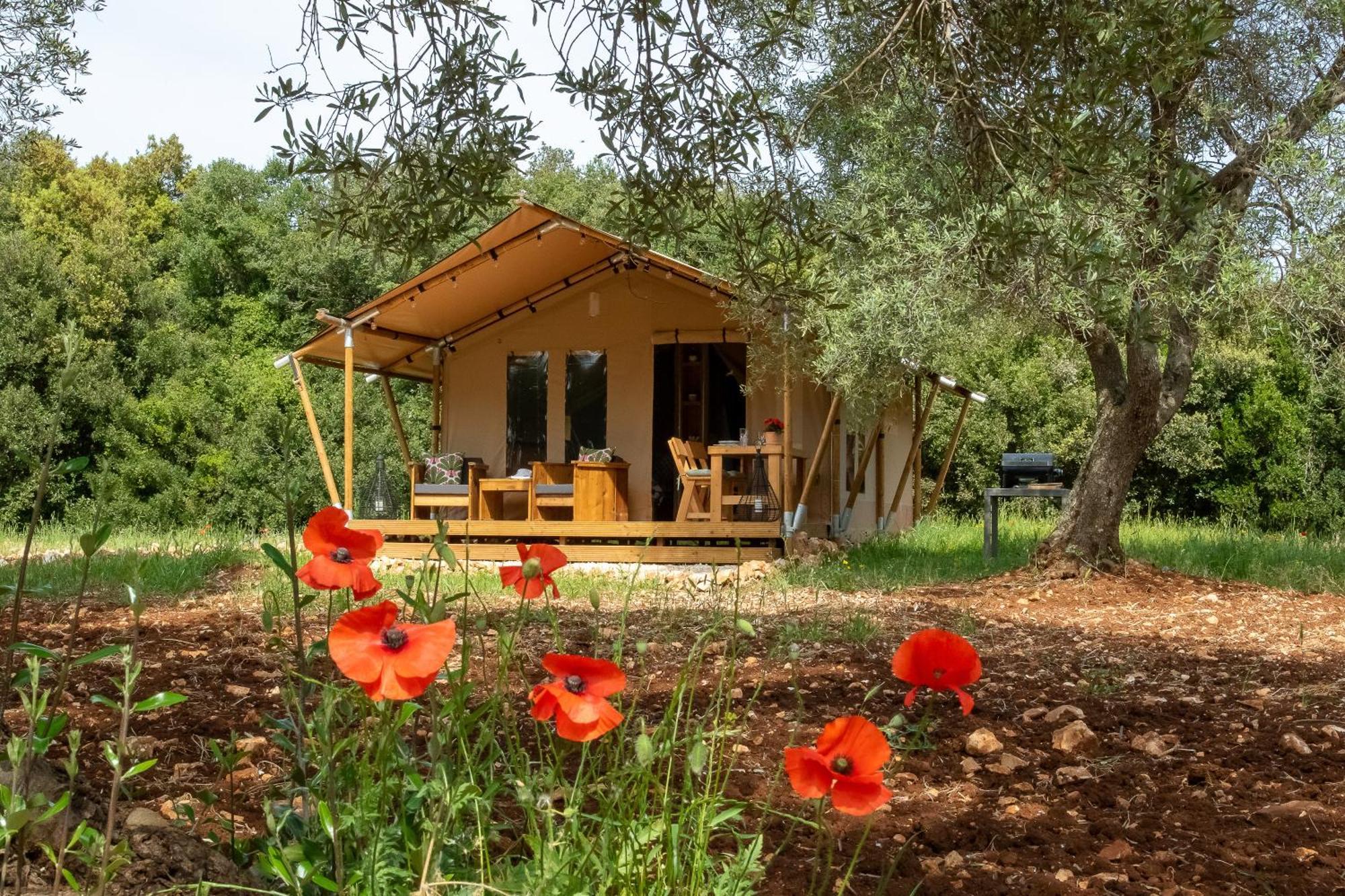 Отель Domus Olea Glamping Челье-Мессапика Экстерьер фото